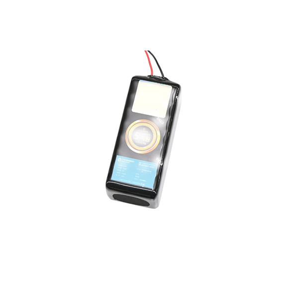 12.6V 20Ah 3S4P Battery - Versatile Lithium Ion Battery Pack for South Korea